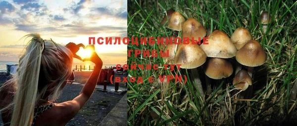 трава Алексеевка