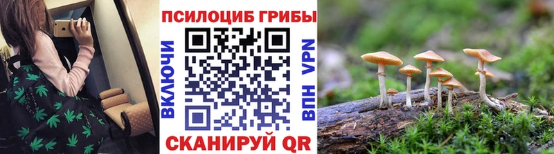 Псилоцибиновые грибы ЛСД  где купить   Юрьев-Польский 